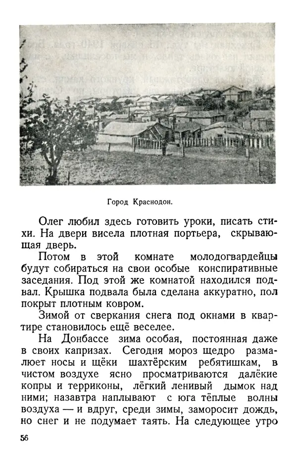 Елена Кошевая - Повесть о сыне - Страница № 57