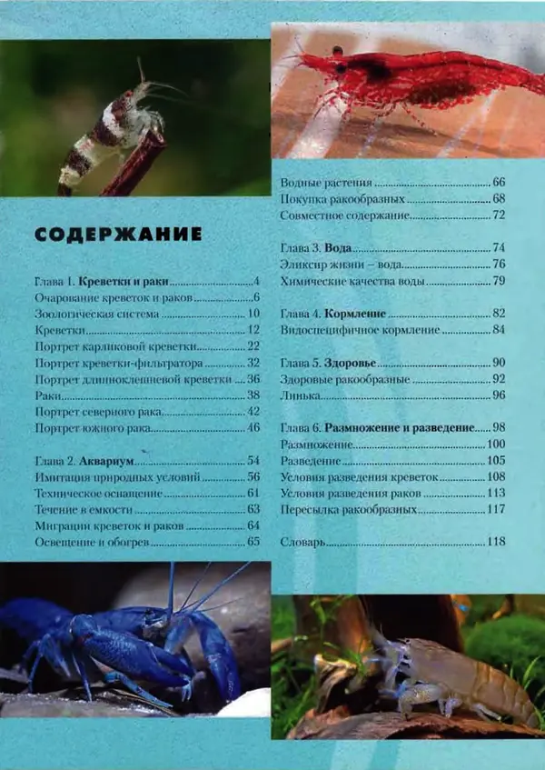 К. Хофштэттер - Креветки и раки в аквариуме - Страница № 2