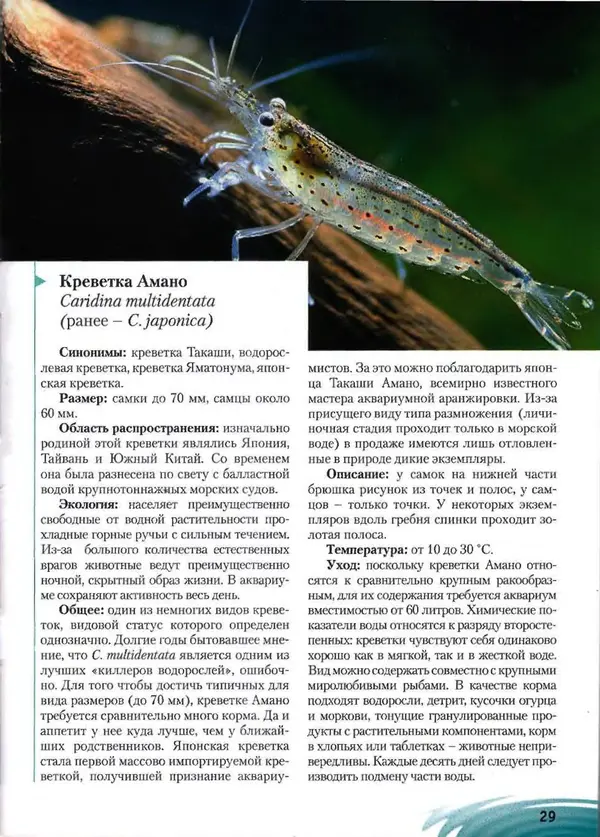 К. Хофштэттер - Креветки и раки в аквариуме - Страница № 28