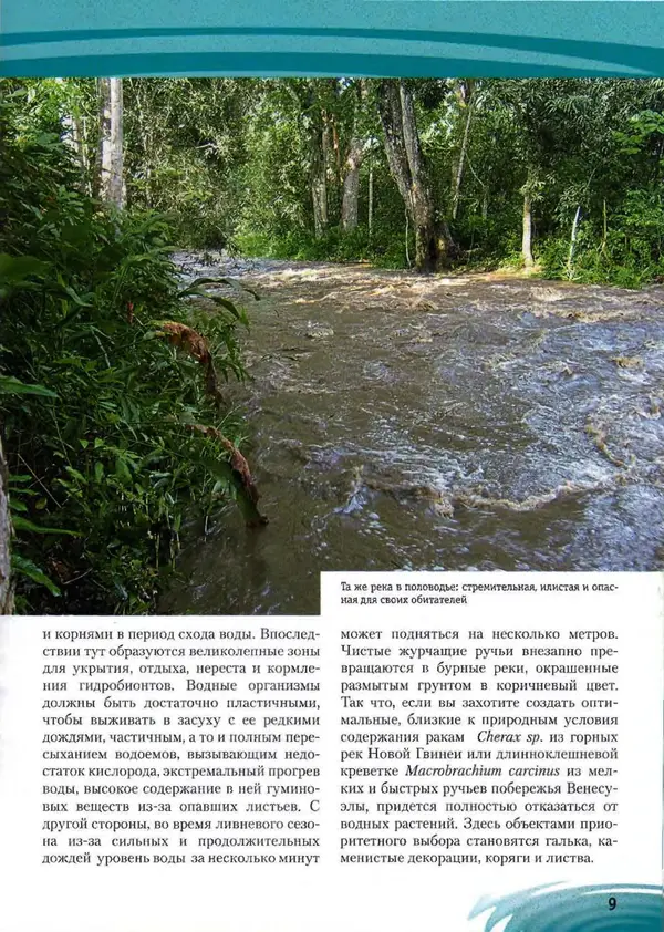 К. Хофштэттер - Креветки и раки в аквариуме - Страница № 8