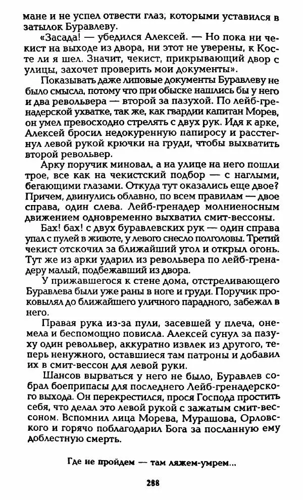 Владимир Черкасов-Георгиевский - Орловский и ВЧК - Страница № 293