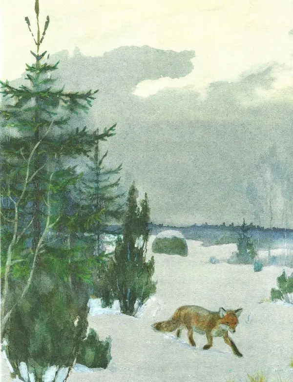 Иван Соколов-Микитов - Зима в лесу - Страница № 5