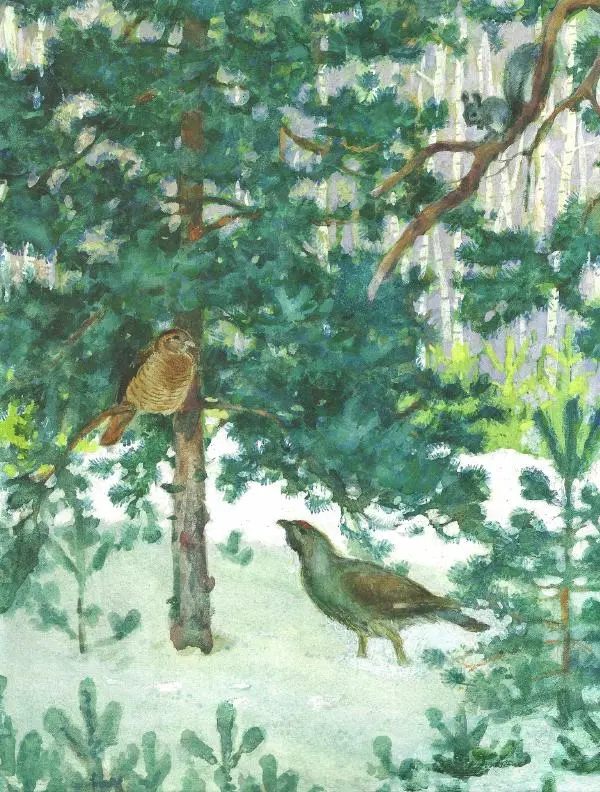 Иван Соколов-Микитов - Зима в лесу - Страница № 11