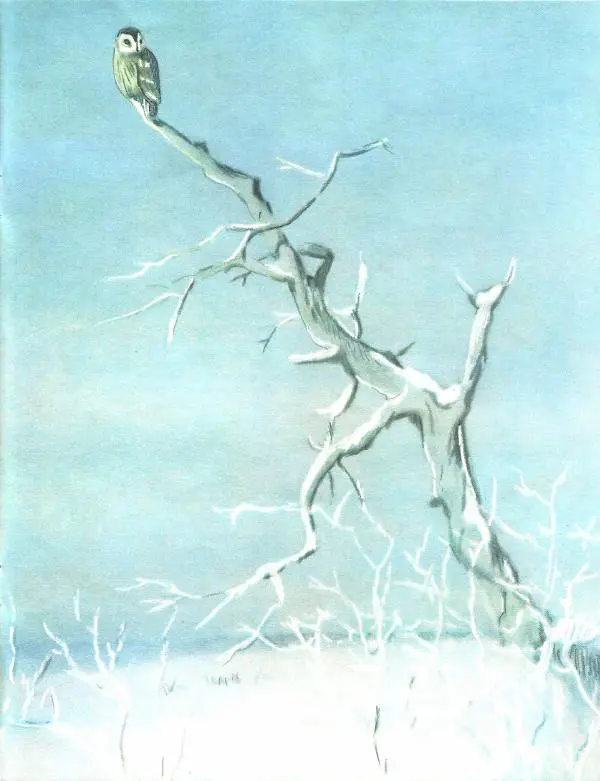 Иван Соколов-Микитов - Зима в лесу - Страница № 23