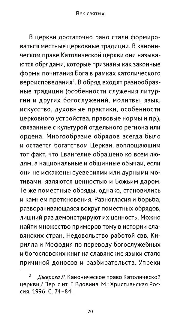 Ольга Кухтенкова - Век святых. Мир ирландского монашества до английского завоевания - Страница № 21