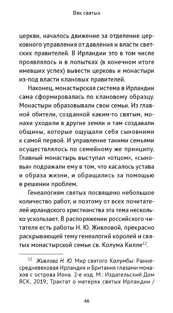 Ольга Кухтенкова - Век святых. Мир ирландского монашества до английского завоевания - Страница № 47