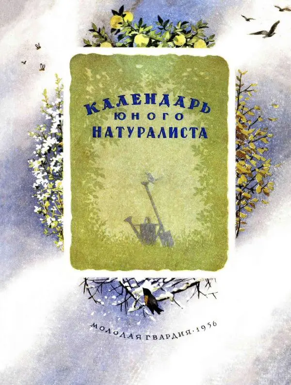  календарь - Календарь юного натуралиста - Страница № 1