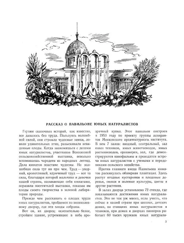  календарь - Календарь юного натуралиста - Страница № 9