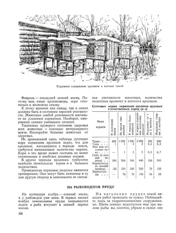  календарь - Календарь юного натуралиста - Страница № 316