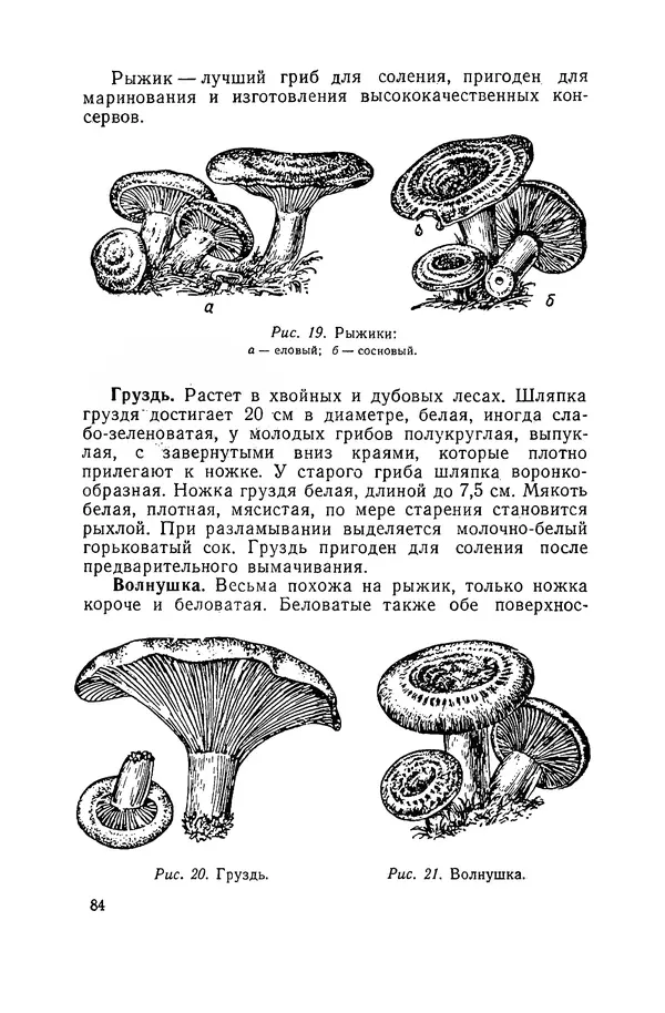 Давид Шапиро - Консервирование овощей и грибов в домашних условиях. — 2-изд., перераб. и доп. - Страница № 85
