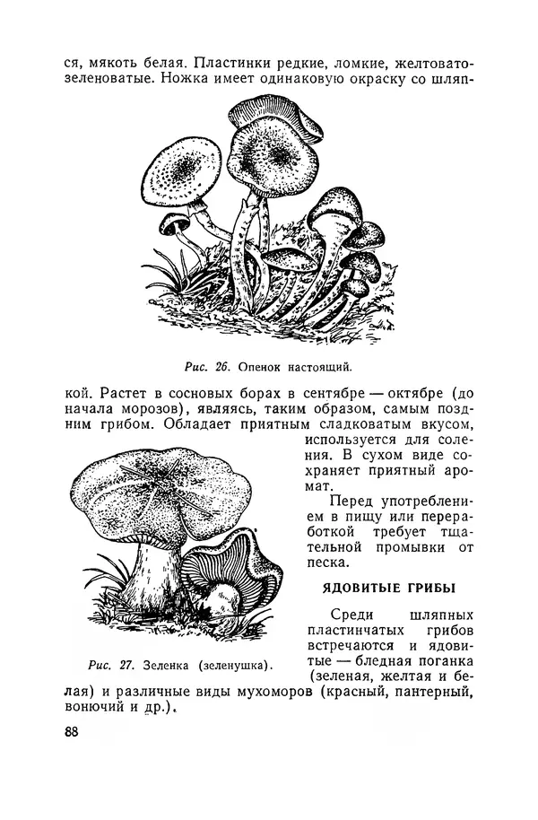 Давид Шапиро - Консервирование овощей и грибов в домашних условиях. — 2-изд., перераб. и доп. - Страница № 89