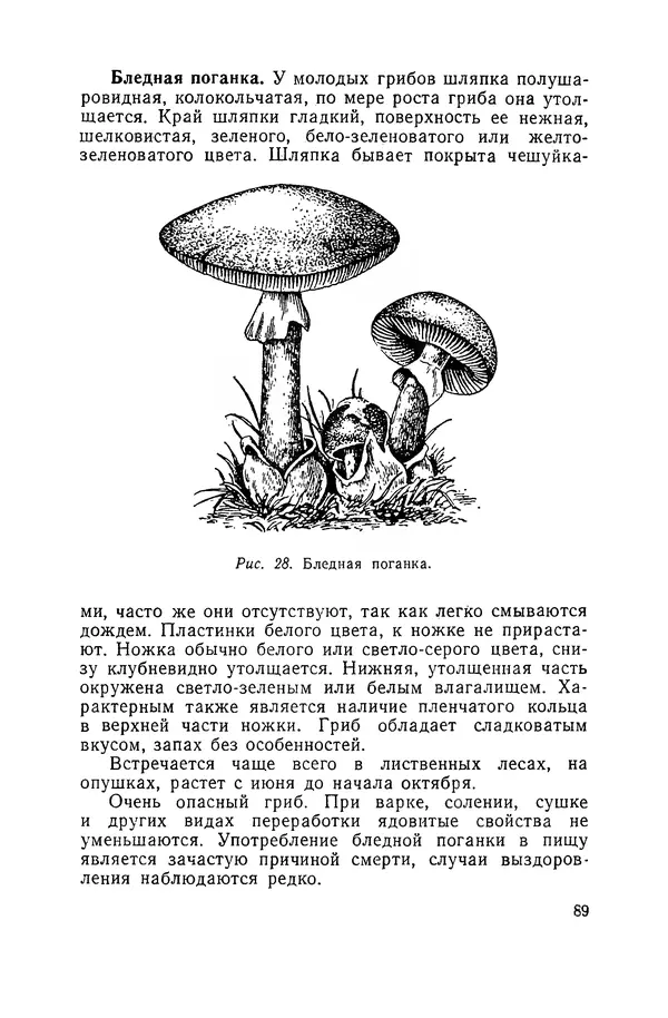 Давид Шапиро - Консервирование овощей и грибов в домашних условиях. — 2-изд., перераб. и доп. - Страница № 90