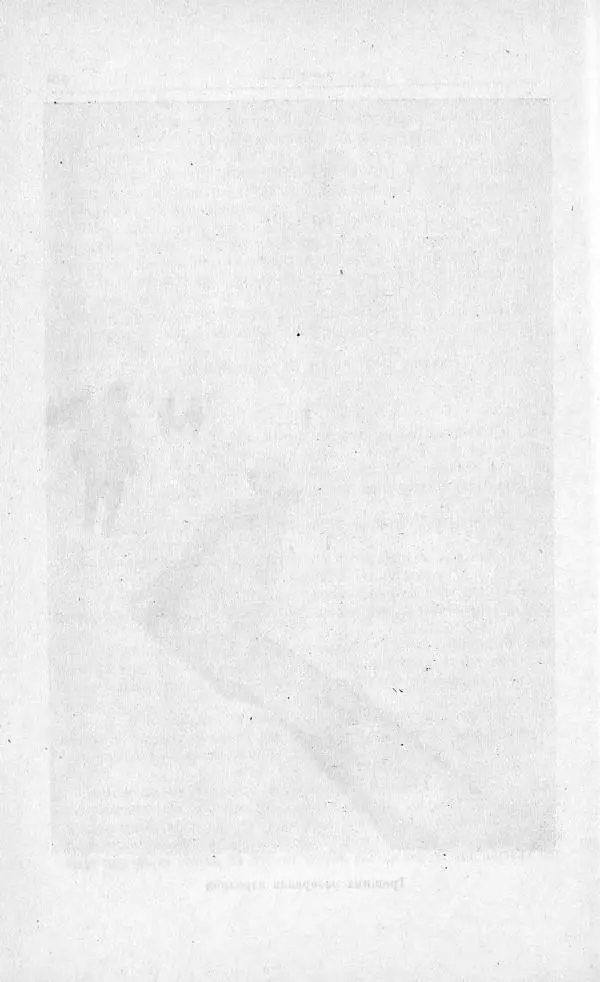 Пётр Ширшов - На "Челюскине" - Страница № 210