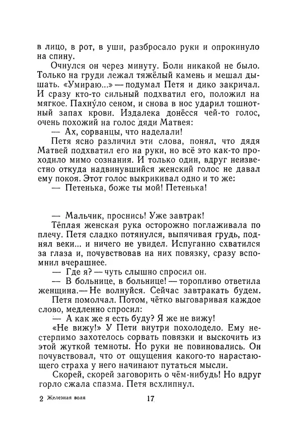 Иосиф Дик - Железная воля - Страница № 18