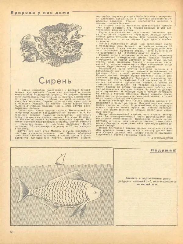  журнал «Семья и школа» - Семья и школа 1968 №09 - Страница № 64