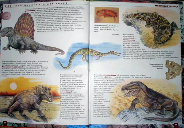 Евгений Курочкин - Атлас динозавров и других ископаемых животных - Страница № 12