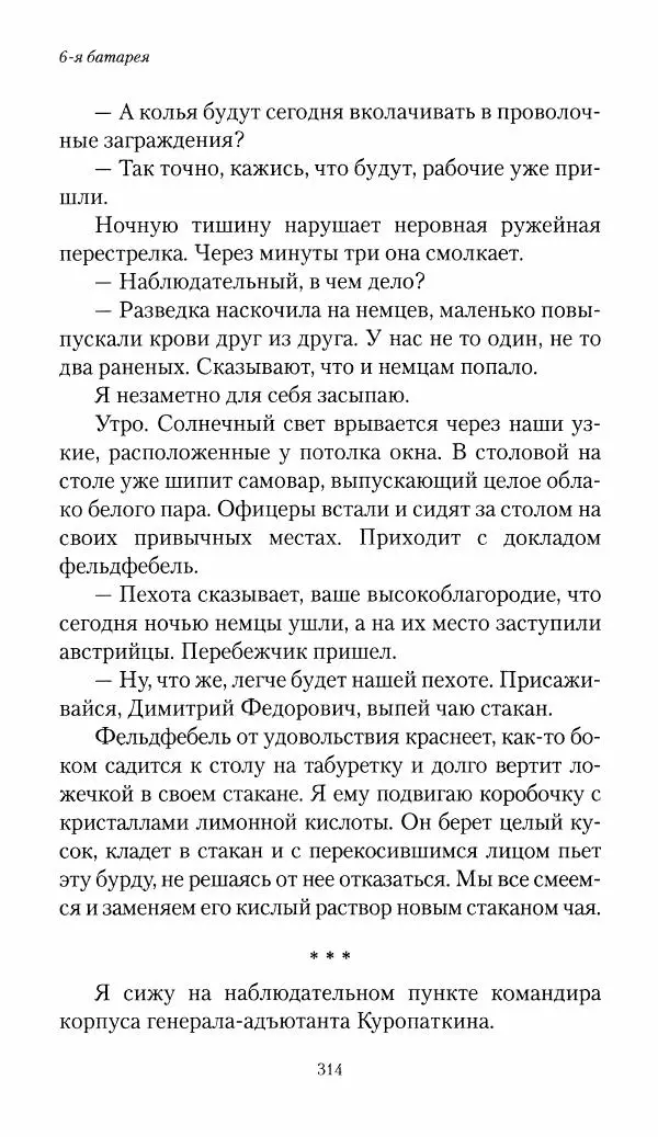 Болеслав Веверн - 6-я батарея: 1914-1917. Повесть о времени великого служения Родине - Страница № 315