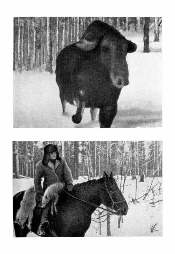 Эрик Кольер - Трое против дербрей - Страница № 135