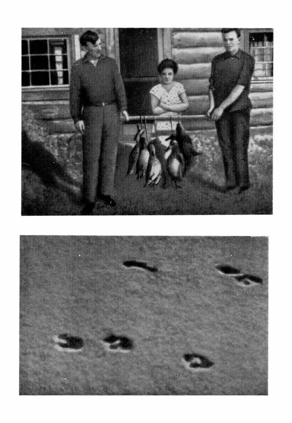 Эрик Кольер - Трое против дербрей - Страница № 137