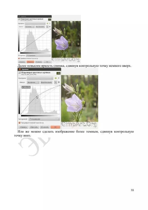 А. Лапшин - Методическая разработка к лабораторной работе № 3 «Изучение графического редактора GIMP» - Страница № 55
