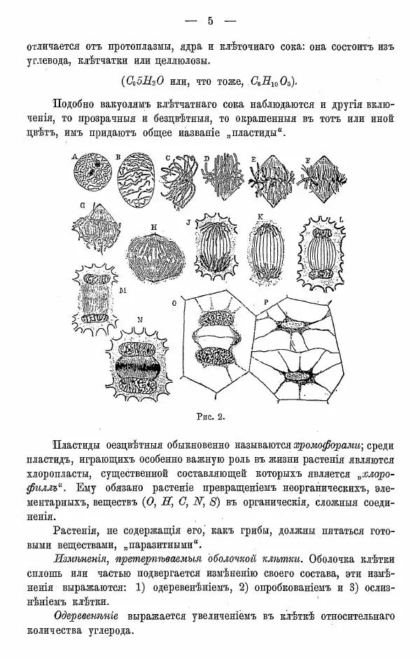 К. Лямин - Дерево как строительный материал, выпуск 1 - Страница № 6