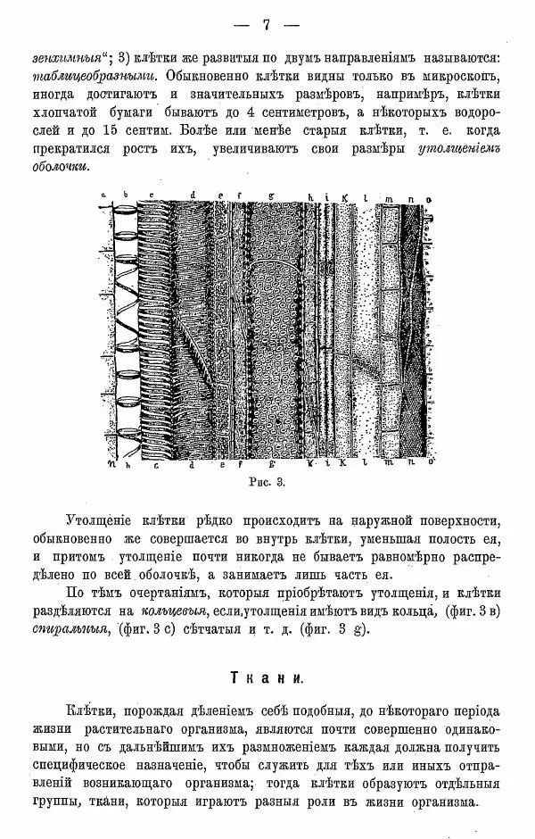 К. Лямин - Дерево как строительный материал, выпуск 1 - Страница № 8