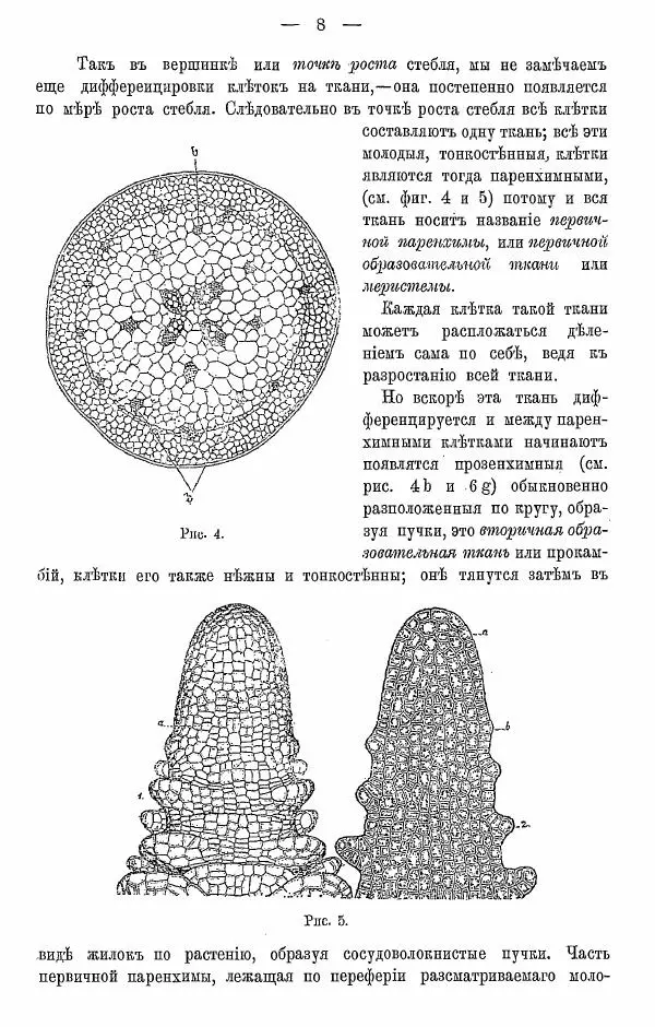 К. Лямин - Дерево как строительный материал, выпуск 1 - Страница № 9