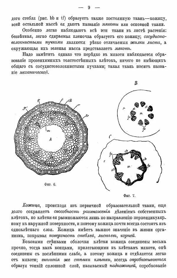 К. Лямин - Дерево как строительный материал, выпуск 1 - Страница № 10