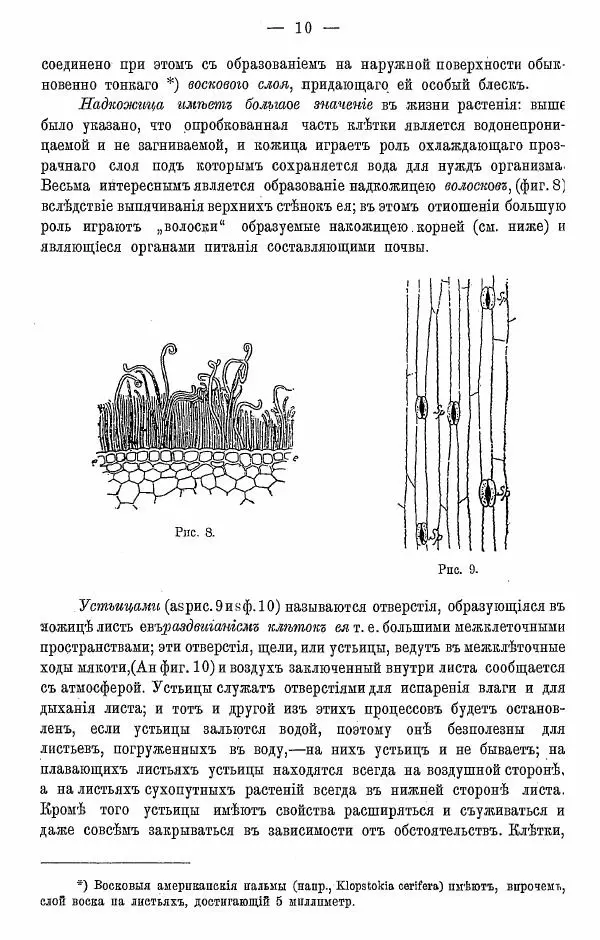 К. Лямин - Дерево как строительный материал, выпуск 1 - Страница № 11