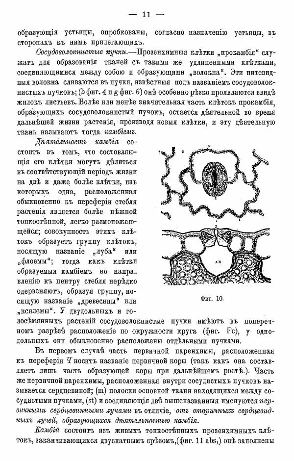 К. Лямин - Дерево как строительный материал, выпуск 1 - Страница № 12