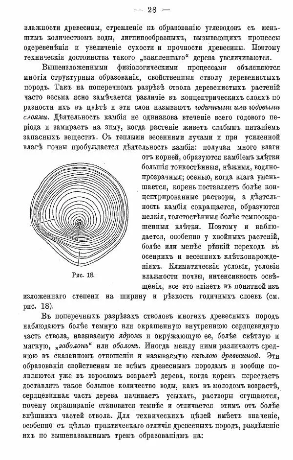 К. Лямин - Дерево как строительный материал, выпуск 1 - Страница № 29