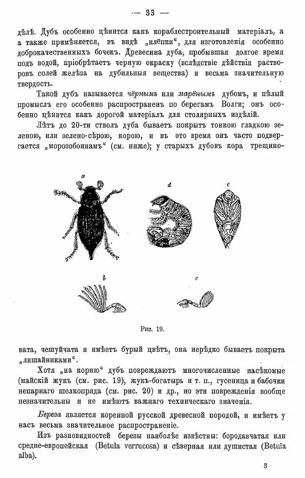 К. Лямин - Дерево как строительный материал, выпуск 1 - Страница № 34