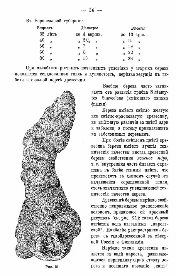 К. Лямин - Дерево как строительный материал, выпуск 1 - Страница № 37