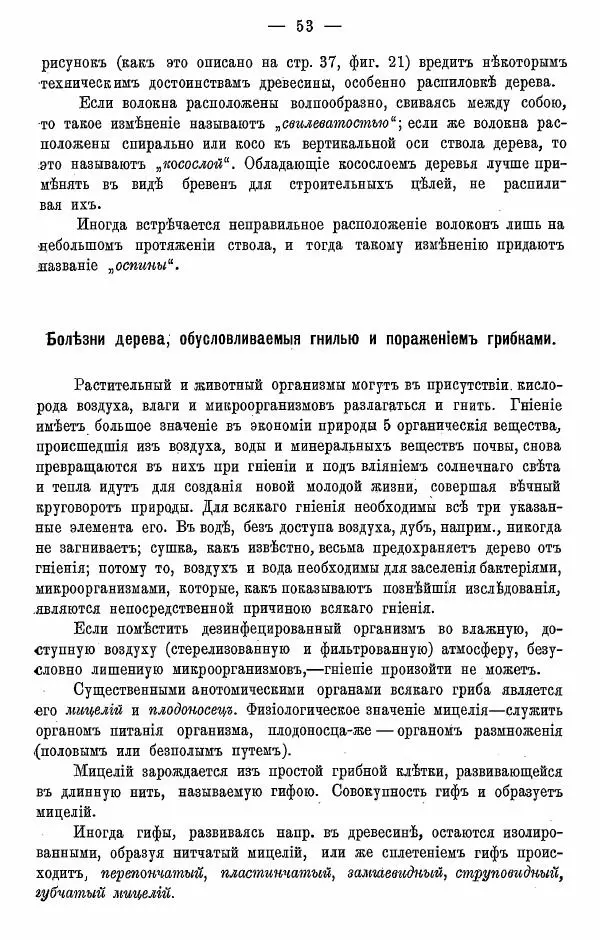К. Лямин - Дерево как строительный материал, выпуск 1 - Страница № 54