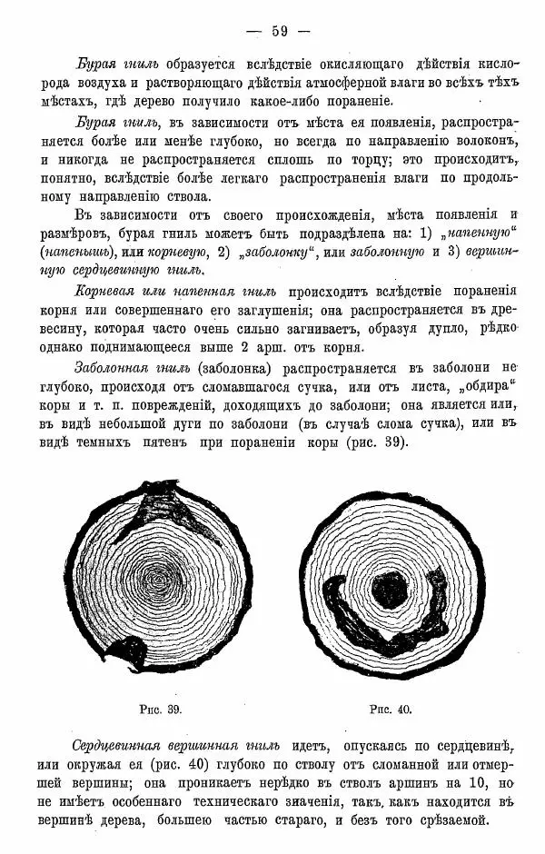 К. Лямин - Дерево как строительный материал, выпуск 1 - Страница № 60