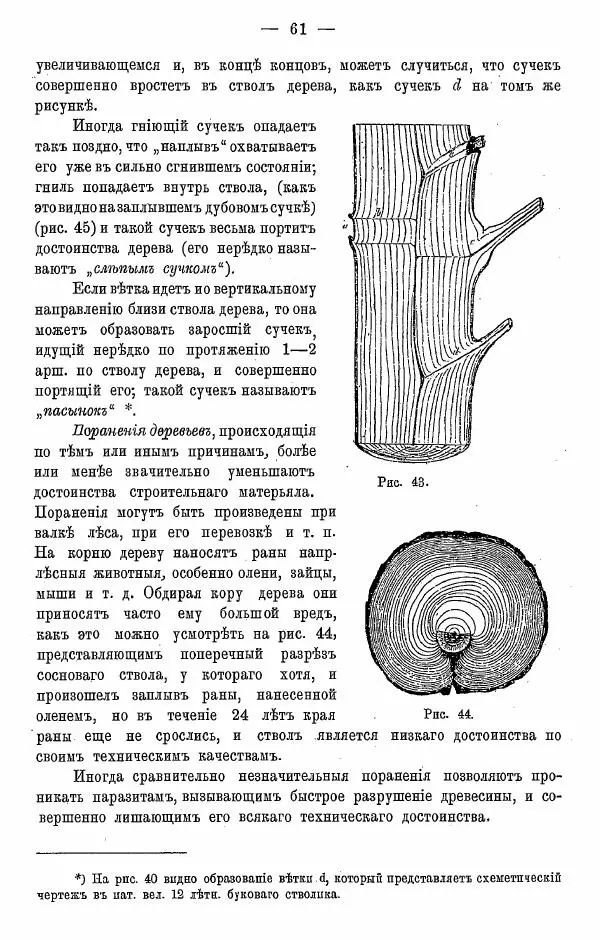 К. Лямин - Дерево как строительный материал, выпуск 1 - Страница № 62