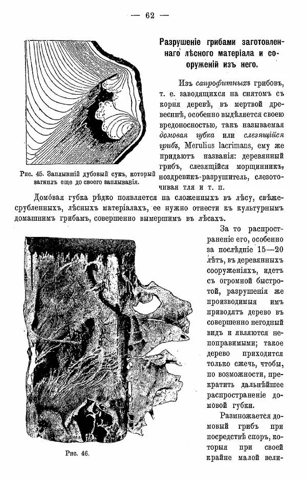 К. Лямин - Дерево как строительный материал, выпуск 1 - Страница № 63