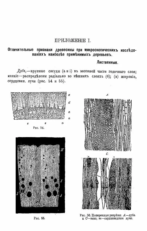 К. Лямин - Дерево как строительный материал, выпуск 1 - Страница № 82