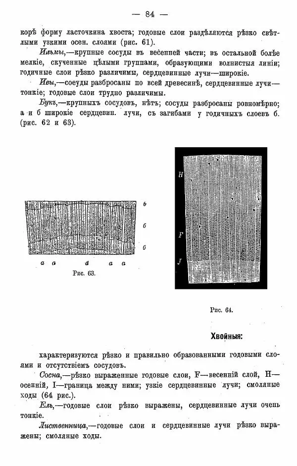 К. Лямин - Дерево как строительный материал, выпуск 1 - Страница № 85