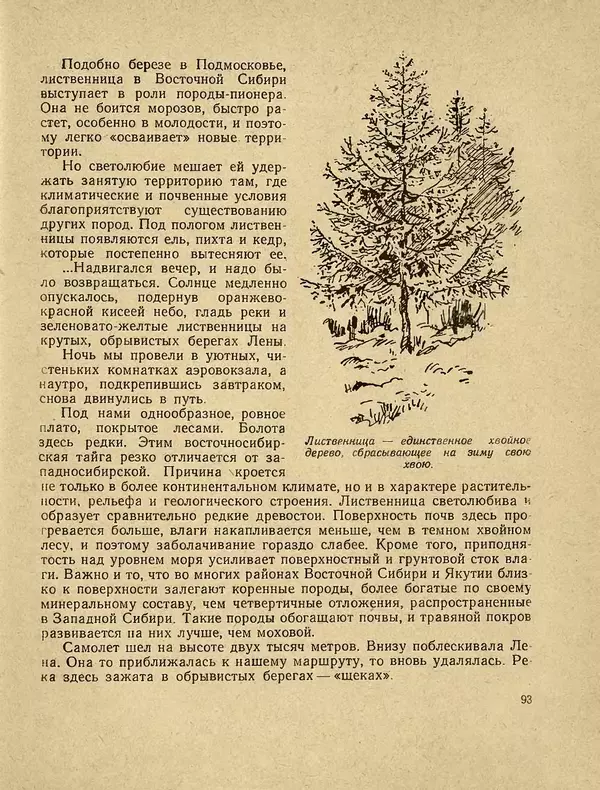 Александр Гавеман - Лес : Беседы лесовода - Страница № 103