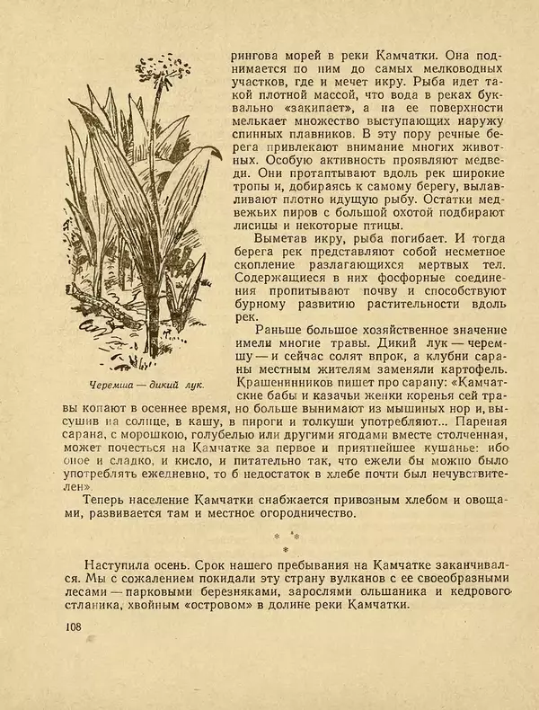 Александр Гавеман - Лес : Беседы лесовода - Страница № 118