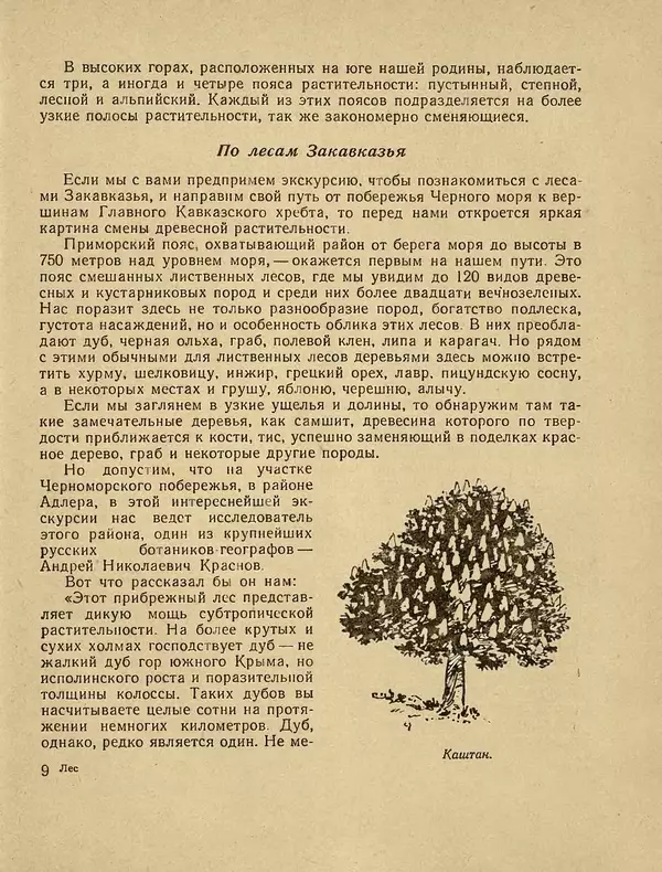 Александр Гавеман - Лес : Беседы лесовода - Страница № 141