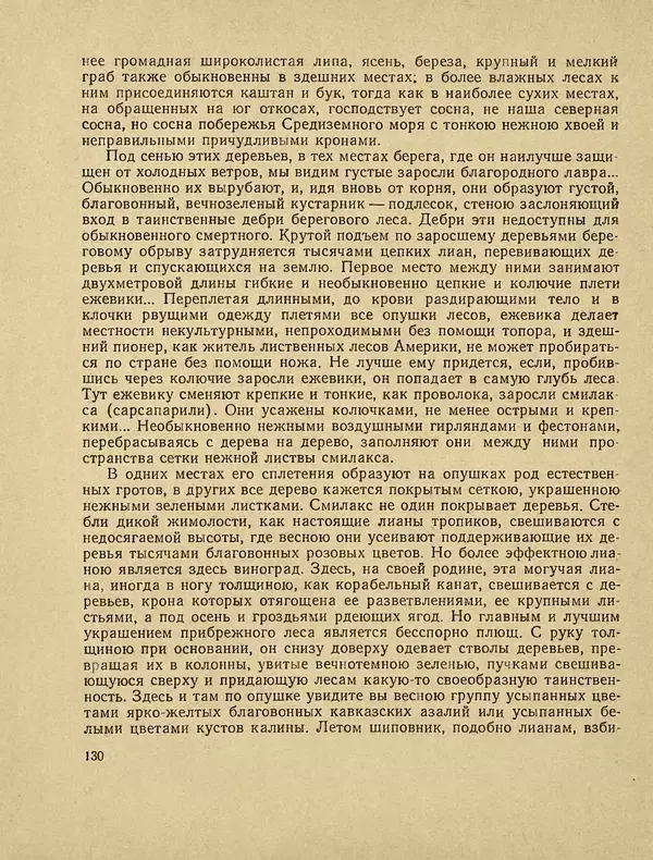 Александр Гавеман - Лес : Беседы лесовода - Страница № 142