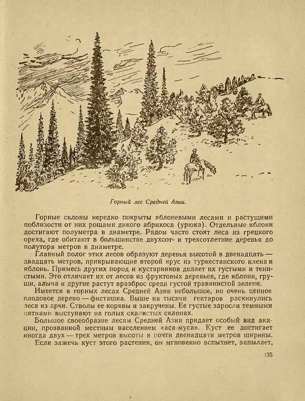 Александр Гавеман - Лес : Беседы лесовода - Страница № 147
