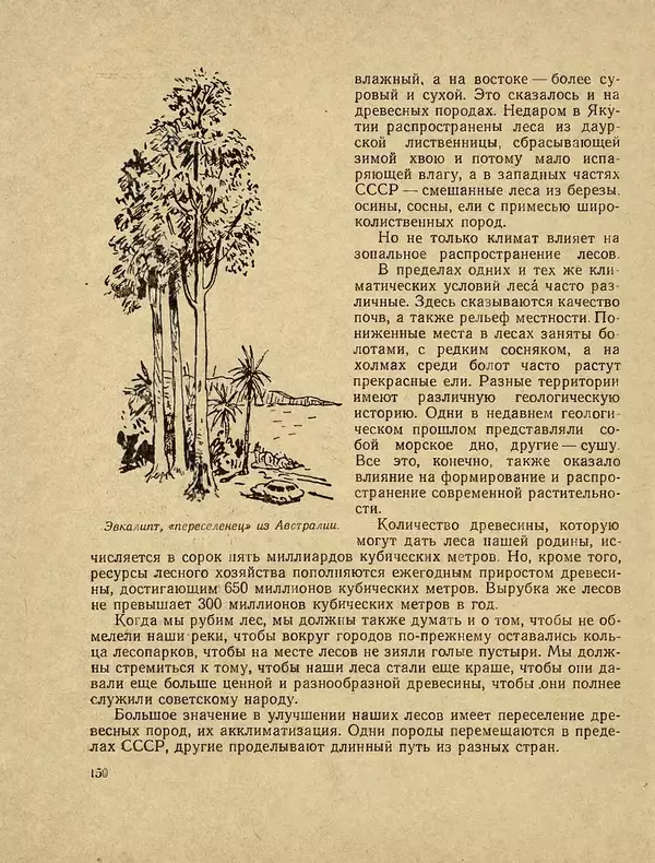 Александр Гавеман - Лес : Беседы лесовода - Страница № 162