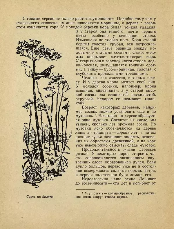 Александр Гавеман - Лес : Беседы лесовода - Страница № 20