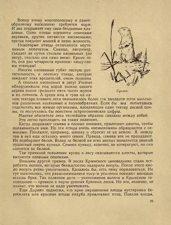 Александр Гавеман - Лес : Беседы лесовода - Страница № 31