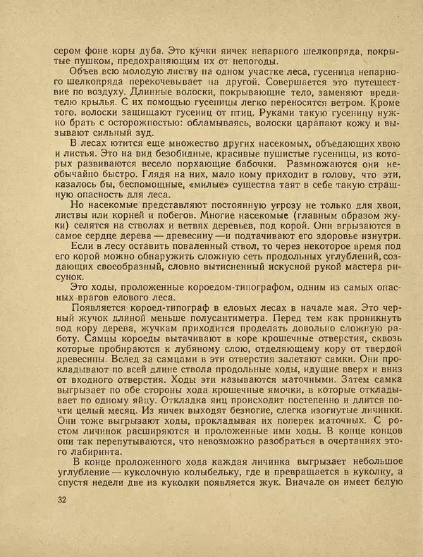Александр Гавеман - Лес : Беседы лесовода - Страница № 38