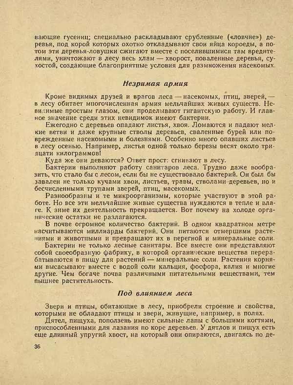 Александр Гавеман - Лес : Беседы лесовода - Страница № 42