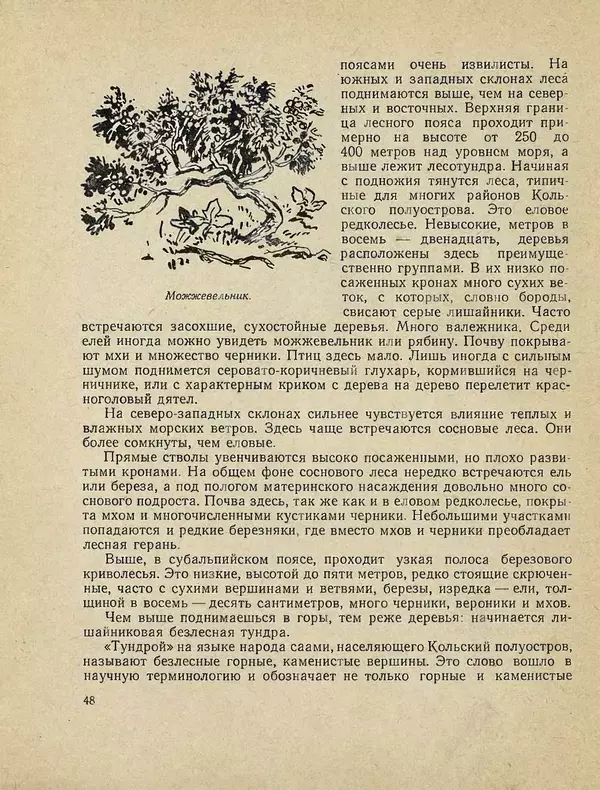 Александр Гавеман - Лес : Беседы лесовода - Страница № 54